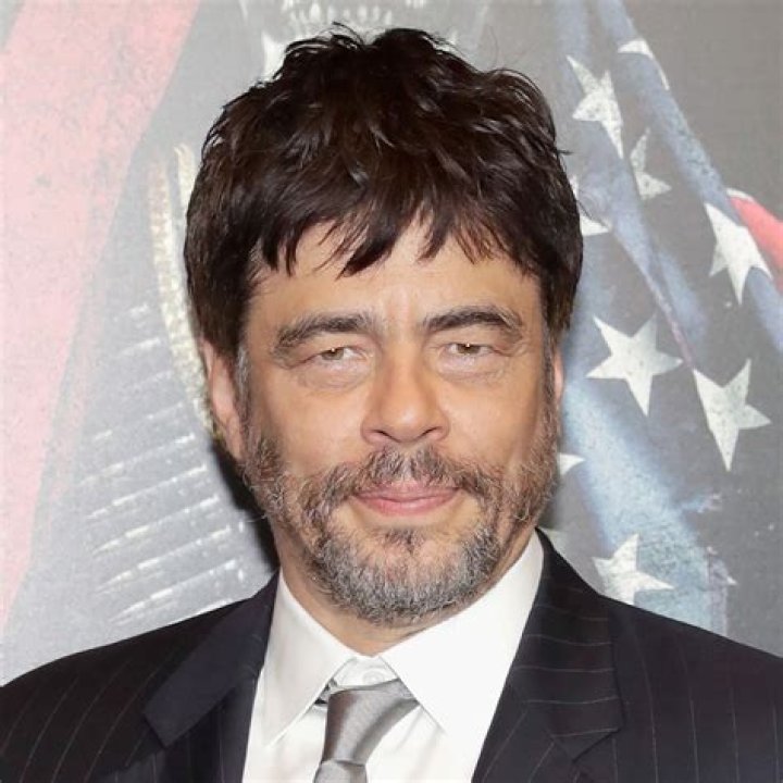 Benicio Del Toro – Celebsgraphy