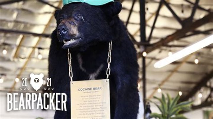 How A Bear Overdosed On Cocaine In 1985 And Inspired The Movie 'Cocaine Bear'