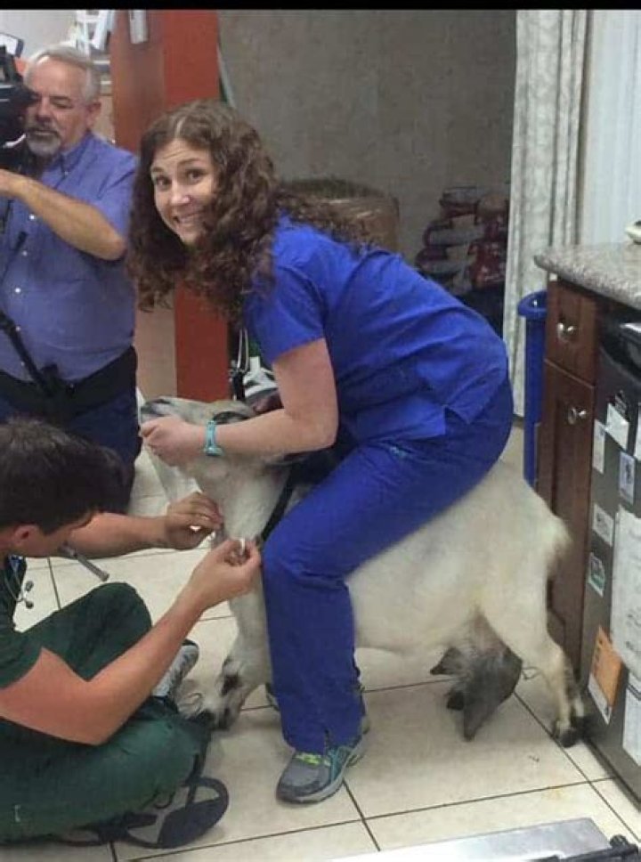 Dr. Lauren Thielen vet Wiki-bio, Age, husband, married life. Also, Net Worth and Salary. 2022