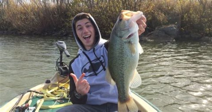 Jon Barzacchini Net Worth and Earnings