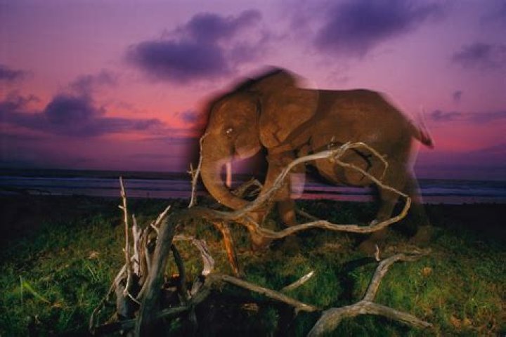 45 Stunning Unpublished Photos From National Geographic's Archives