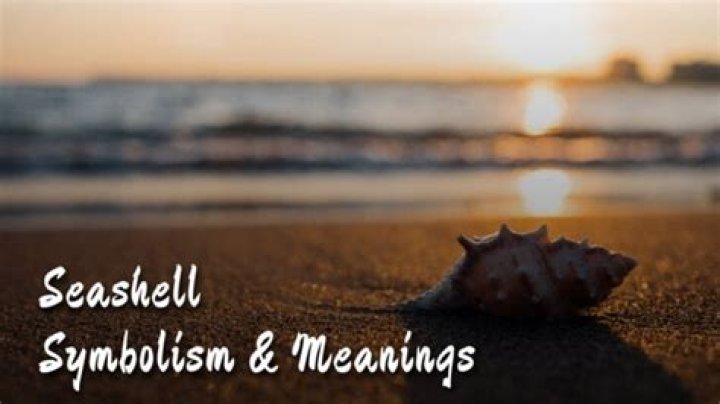 What is the symbolism of seashells?
