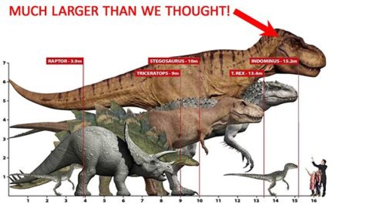 What length does Trex come in?