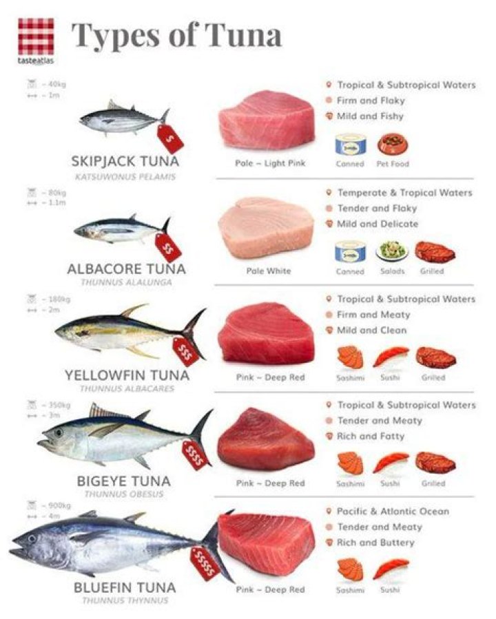 Which tuna has scales?